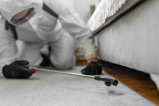 Professional Termite Control technician working in Brier, WA