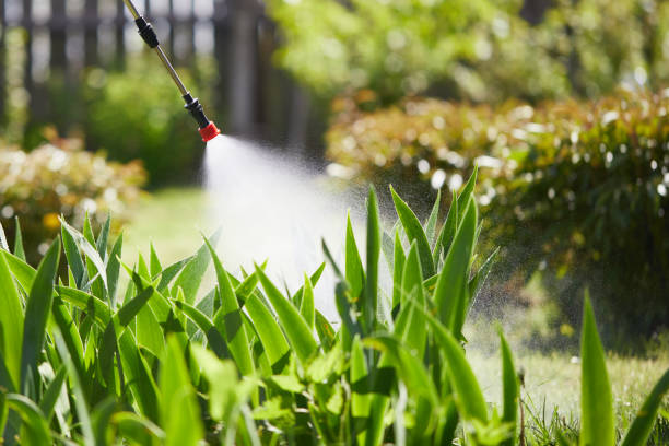 24/7 Emergency Termite Control experts in Brier, WA